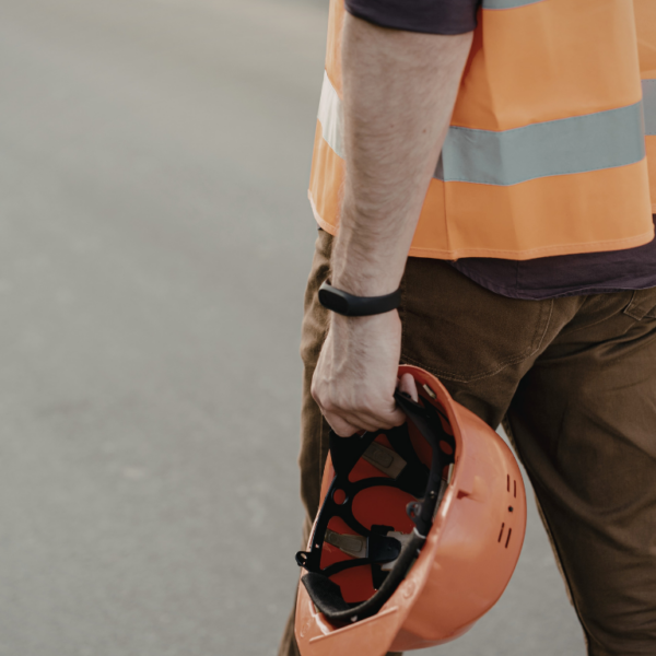 revista catalunya 239(8)