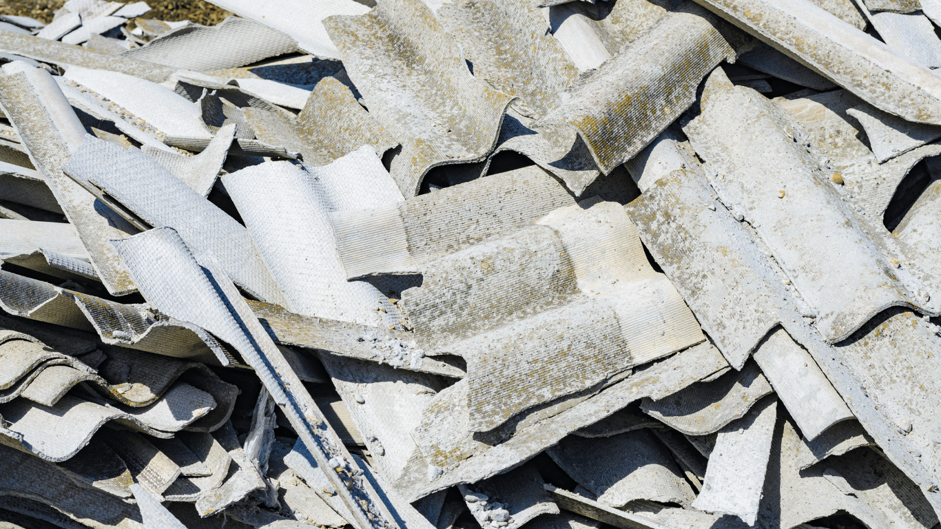 revista catalunya 240(12)